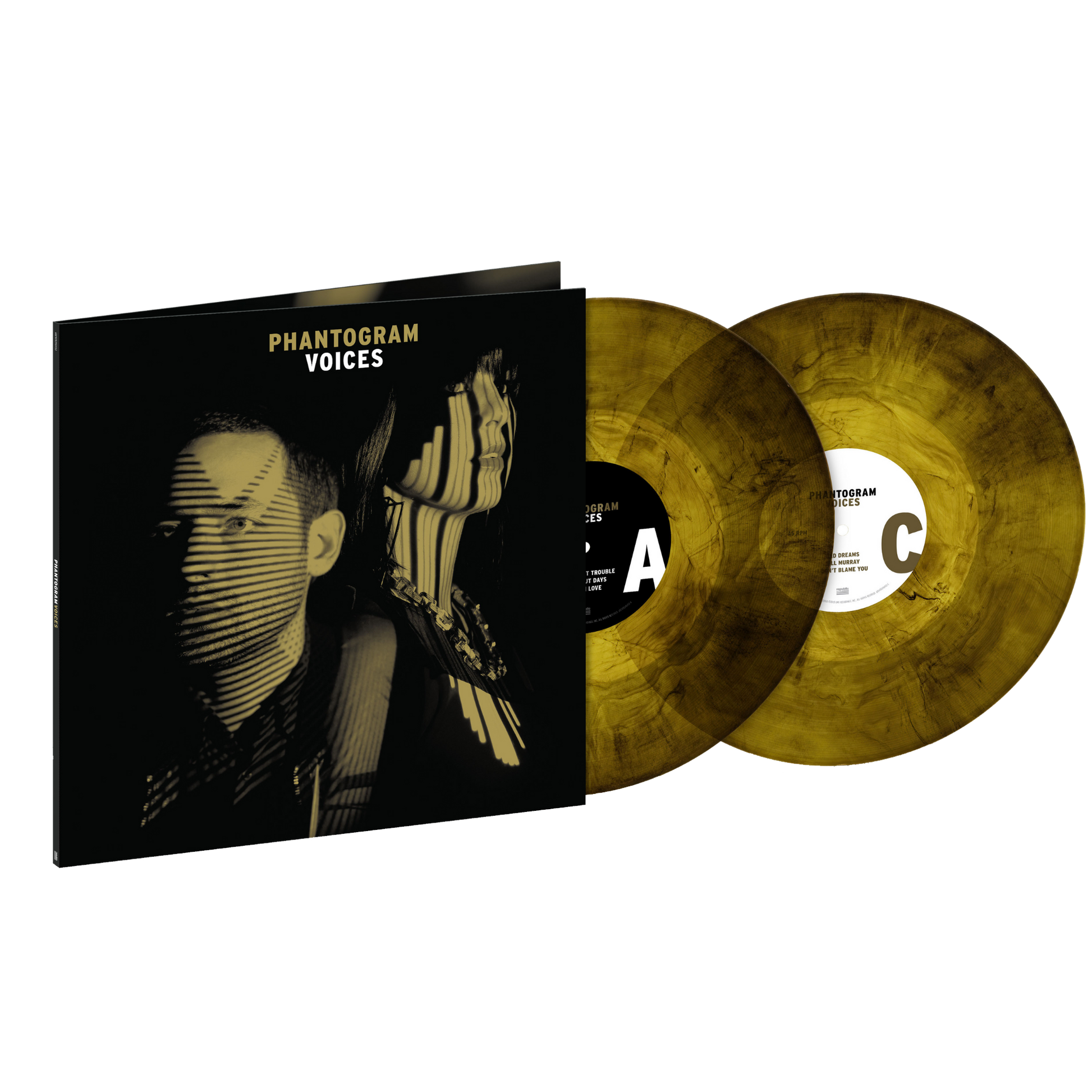 Voices Vinyl